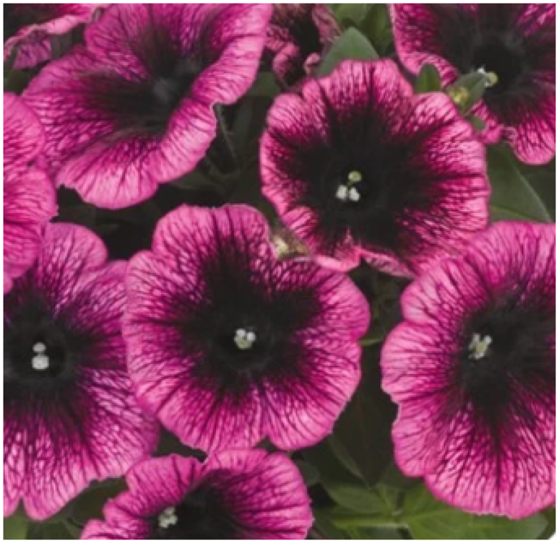 Снимок экрана 2026-04-21 072947